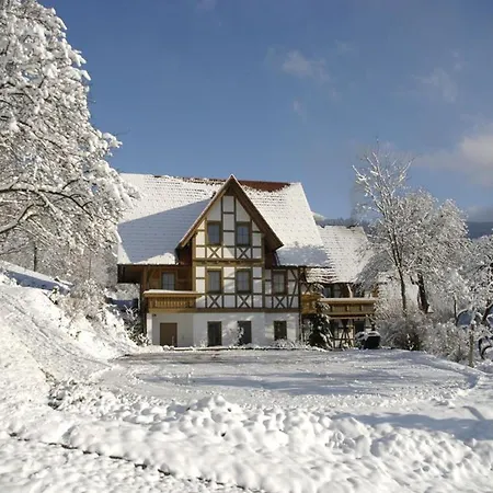 Baeuerlehof Seebach