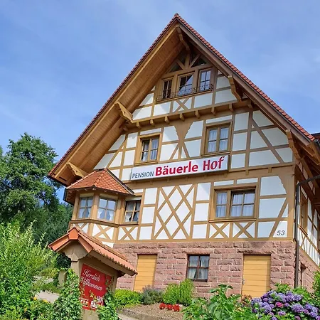Baeuerlehof Seebach