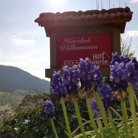 Baeuerlehof 2* Seebach
