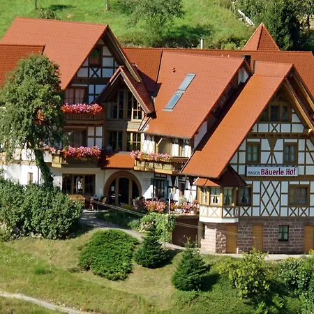 Baeuerlehof Guest house